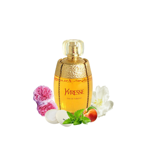 Yvresse (Champagne) Yves Saint Laurent for women ا...