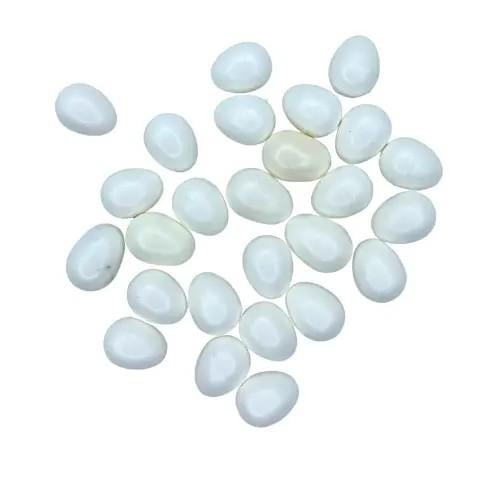 مجموعة بيض أبيض بلاستيك بحجم صغير 2GR