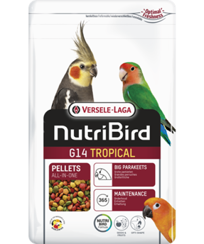 فيرسلاقا تروبيكال G14 للبغبغاوات المتوسطة