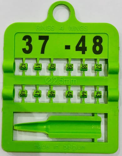 حجل بمقاس 2.5مم ارقام 37-48 R4W