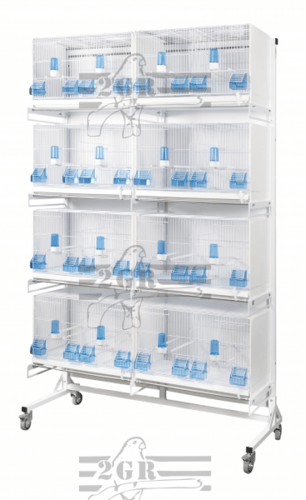 قاعدة من كفرات 2GR