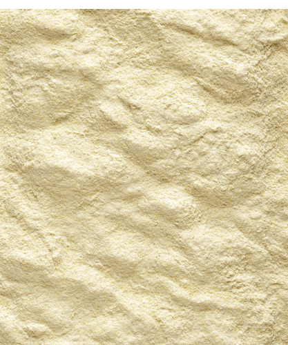 أكل غر A19 من فرسلاقا 250 جرام