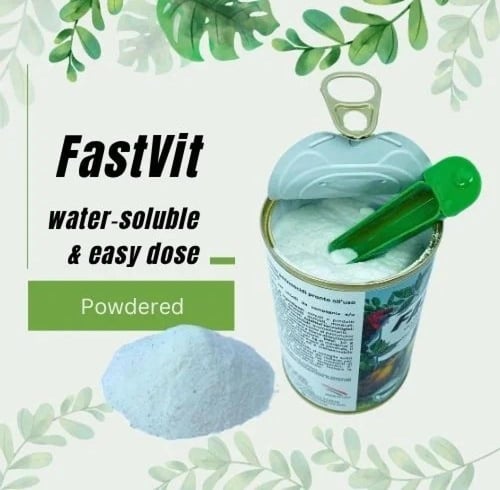 Pineta - فيتامين شامل ومعادن واحماض امينيه 250 جرا...