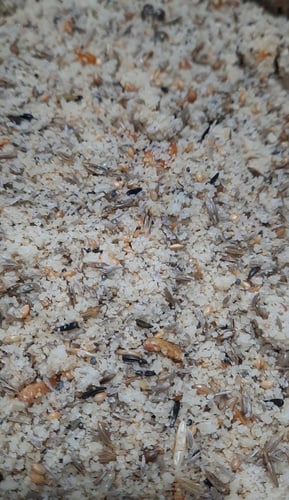 بسكويت FLY مع البذور 1.5 كيلو