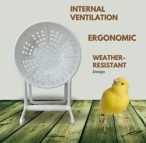 عش داخلي مقاس 10 بقاعدة 2gr