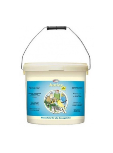 ايقفود جونيور كويكو ( 1 كيلو من السطل )