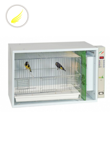 عيادة إيطالية للطيور