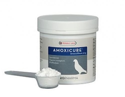 اموكسيكيور فيرسلاقا 120 جرام