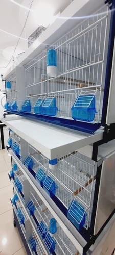 درج حديد لاقفاص Ital Gabbie موديل 64