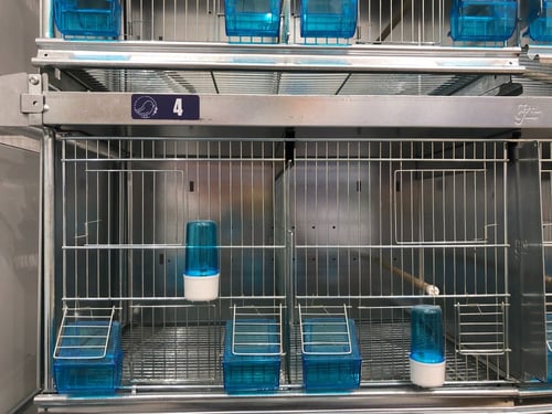 أرقام تسلسلية مغناطيس