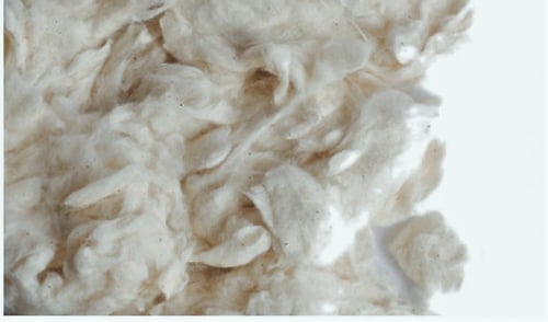 قطن صافي ايطالي ( SISAL ) 50 جرام