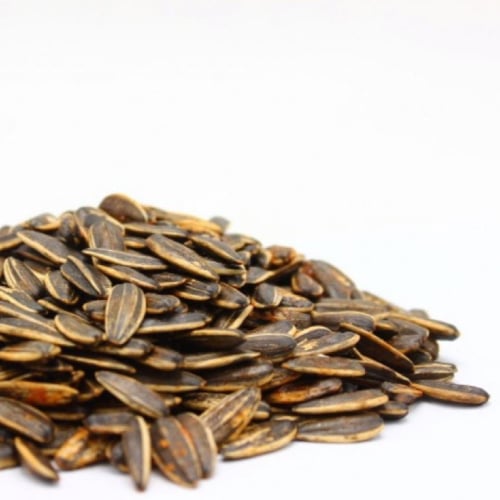 ‏حب دوار الشمس