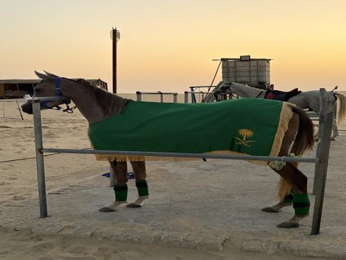 جلال وباندح اليوم الوطني