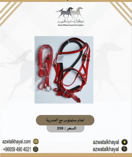 لجام ستيتوس مع الصدرية