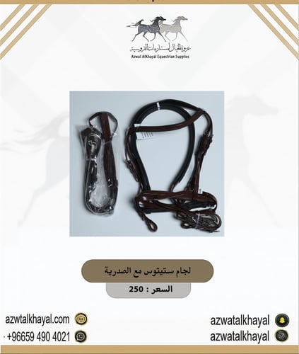 لجام ستيتوس مع الصدرية