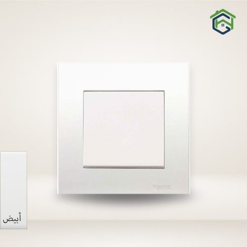 KB31/1_WE مفتاح مفرد عادي 16AX