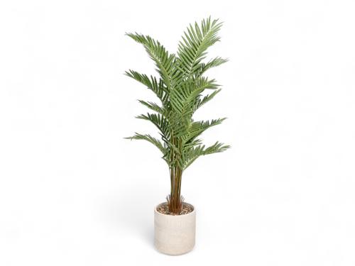 شجرة بمركن فايبر كبير