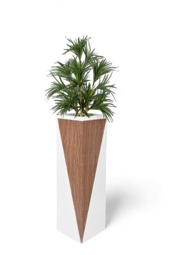 شجرة مركن فايبر ابيض مخشب