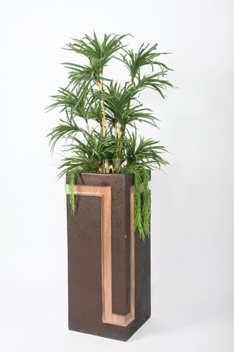 شجرة بمركن فايبر مخشب