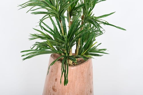 شجرة بمركن فايبر ابيض مخشب