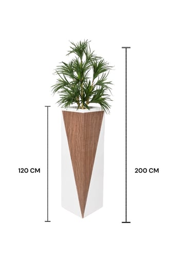 شجرة مركن فايبر ابيض مخشب