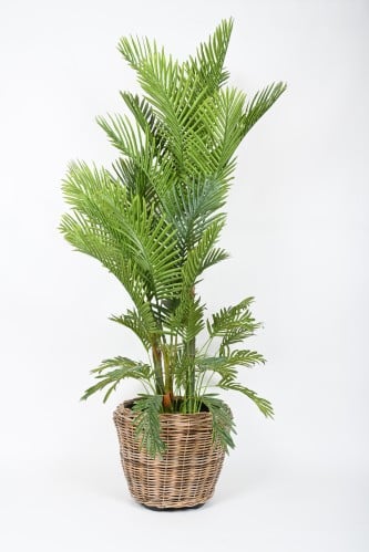 شجرة بمركن خيزران فاخر