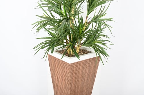 شجرة مركن فايبر ابيض مخشب