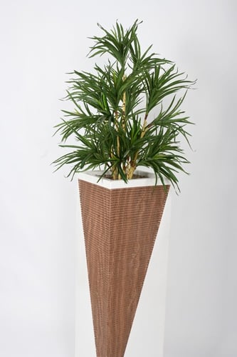 شجرة مركن فايبر ابيض مخشب