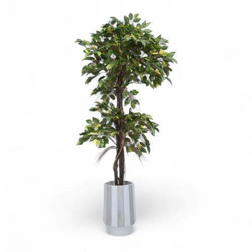 شجرة بمركن فايبر