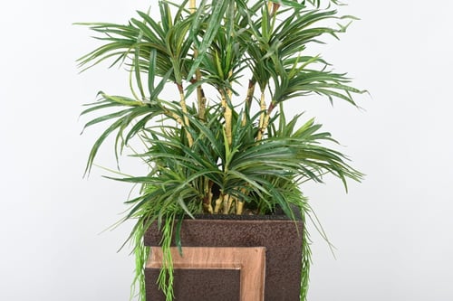 شجرة بمركن فايبر مخشب