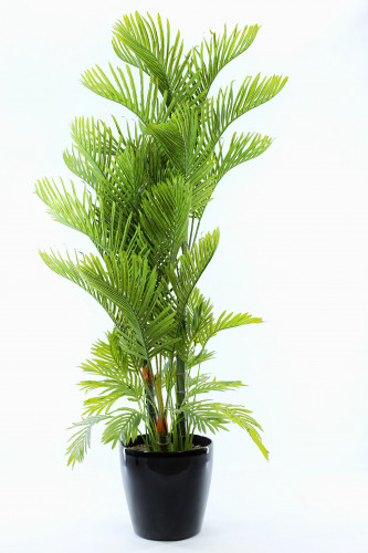 نخلة ثلاث افرع بمركن فايبر