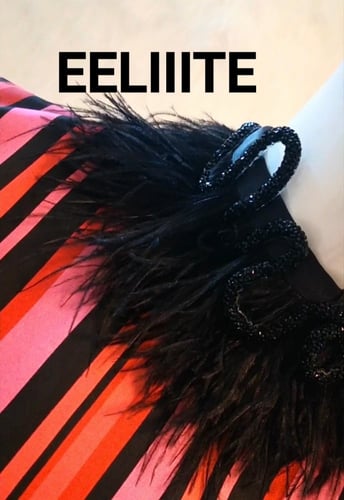 بلوزة التقليمات