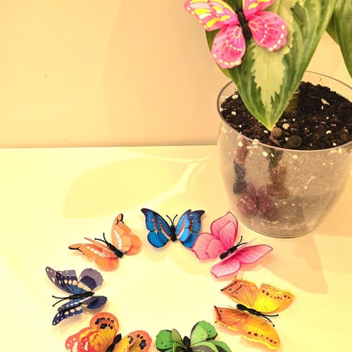 2 فراشة لتزين النبات