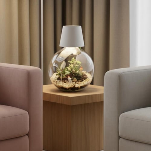 ابجورة نبتة فيتونيا بشكل كروي