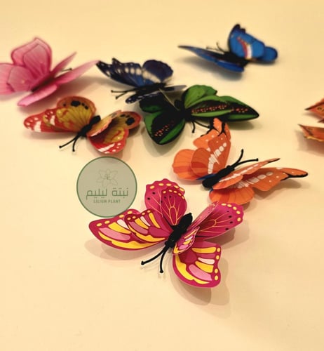 2 فراشة لتزين النبات
