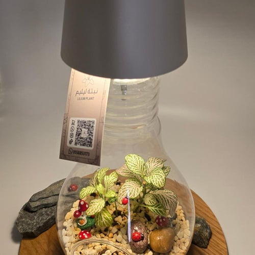 ابجورة نبتة فيتونيا بشكل لمبة