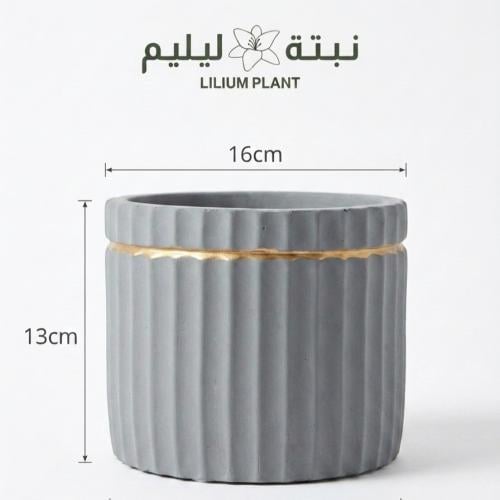 مركن كونكريت لونه رصاصي