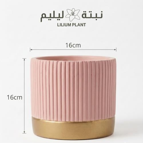 مركن كونكريت راقي