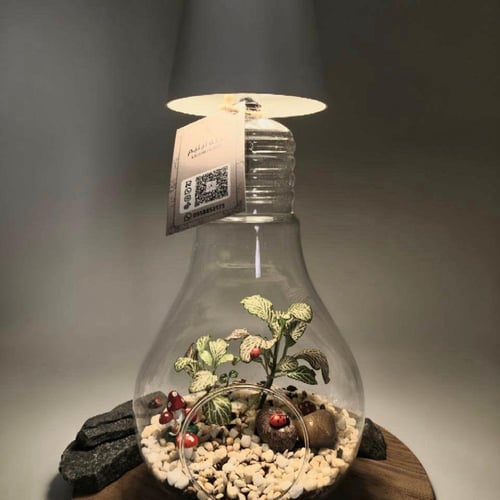 ابجورة نبتة فيتونيا بشكل لمبة