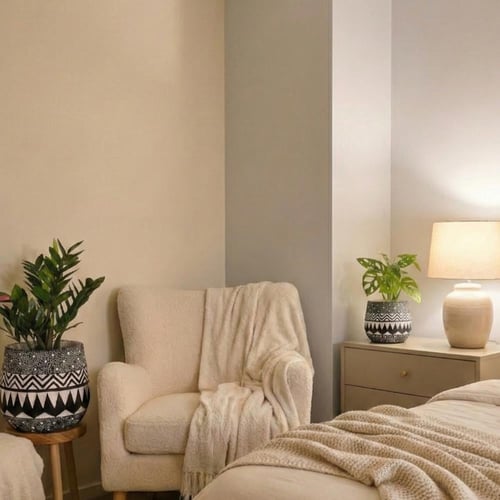 طقم نبات مونستيرا و زاميا في احواض فخارية فخمة