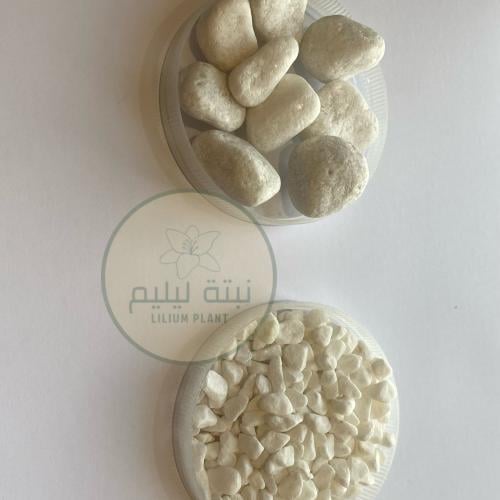 احجار لون ابيض بحجمين كبير و صغير