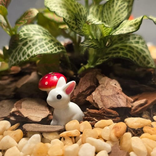 ابجورة نبتة فيتونيا بشكل لمبة