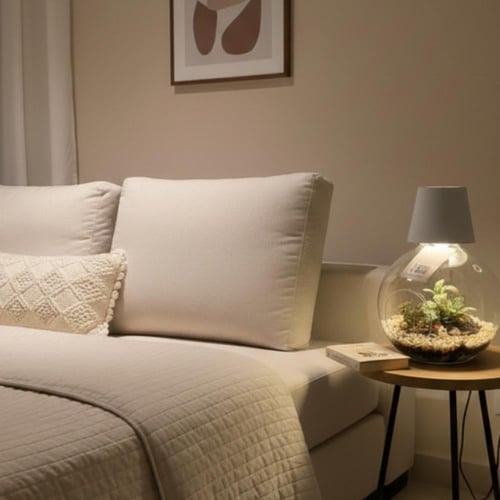 ابجورة نبتة فيتونيا بشكل كروي