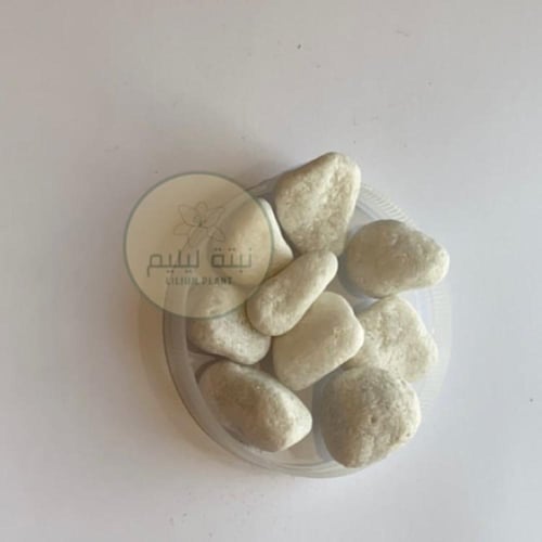 احجار لون ابيض بحجمين كبير و صغير