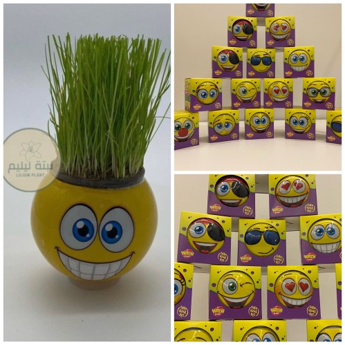 نبتة ايموجي منتج مستورد