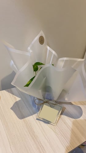 تغليف أبيض نايلون سميك