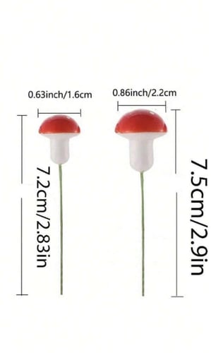 فطر لتزين النبات