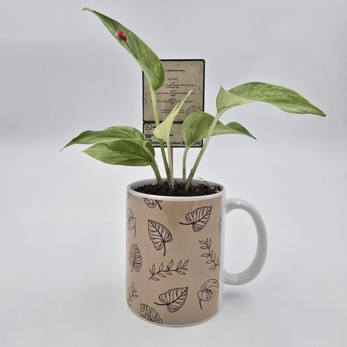 نبتة بوتس مزروعة في كوب طباعة حسب الطلب