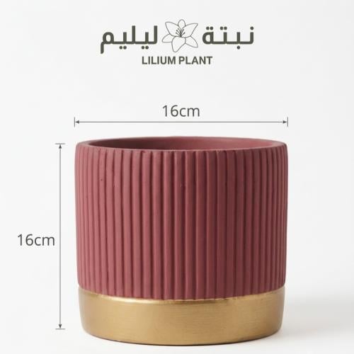مركن كونكريت مميز
