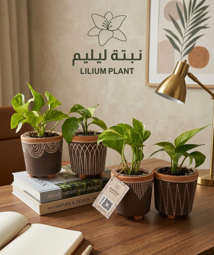 بكج 4 نباتات بوتس مع مركن فخاري لونه بني غامق